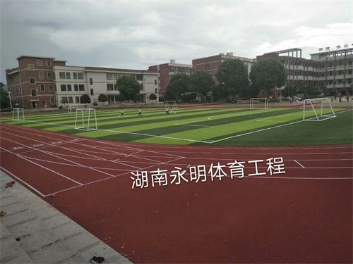 星源學校(xiào)200米透氣型跑道(dào)和(hé)人(rén)造草(cǎo)足球場(chǎng)